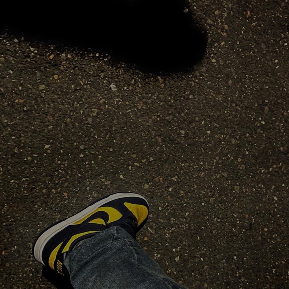 i am selling a size 7 in men’s michigan low dunks